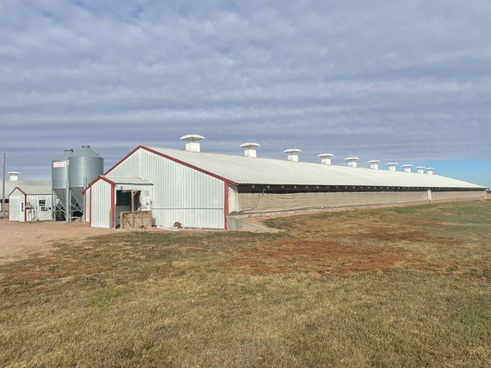 Parkston, Hutchinson County, SD Farms and Ranches, Undeveloped Land for