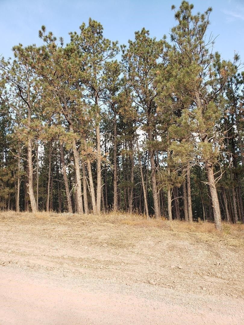 Hermosa, Pennington County, SD Farms and Ranches for sale Property ID