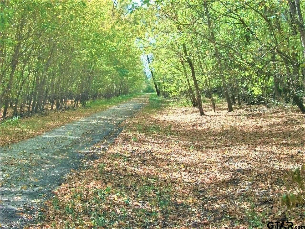 Avery, Red River County, TX Undeveloped Land for sale Property ID