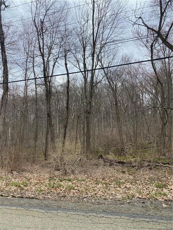 Wallkill, Orange County, NY Undeveloped Land, Homesites for sale