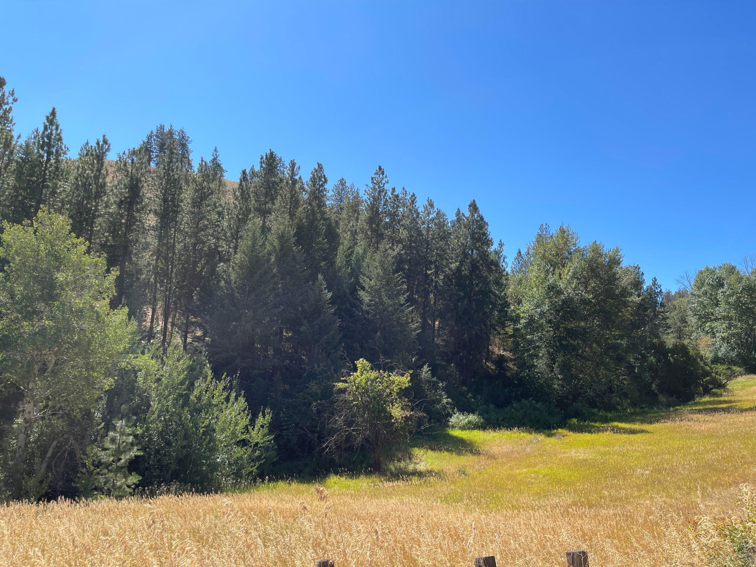Creston, Lincoln County, WA Recreational Property, Undeveloped Land