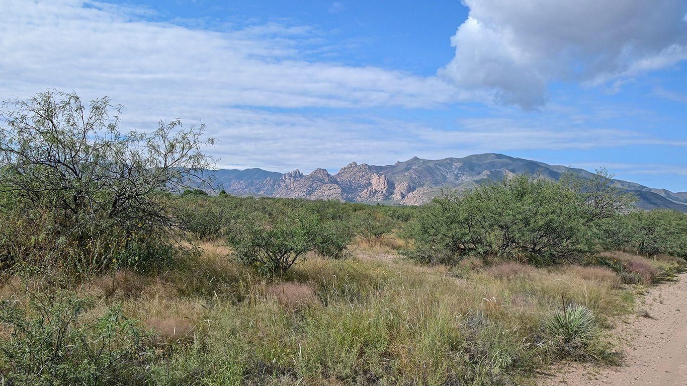 Pearce, Cochise County, AZ Undeveloped Land, Horse Property, Homesites