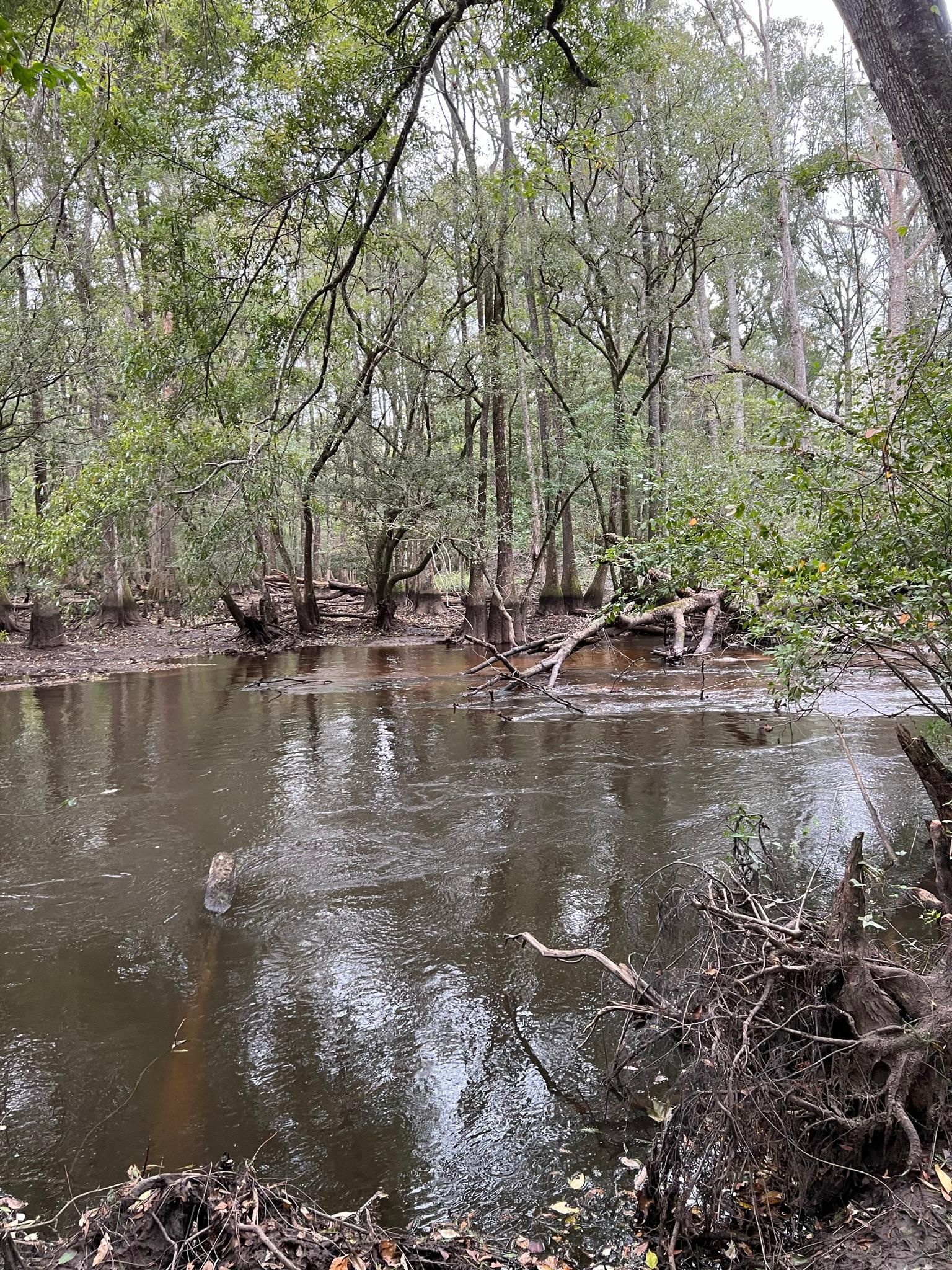 1455 Faust Street, Bamberg, SC 29003 LandWatch