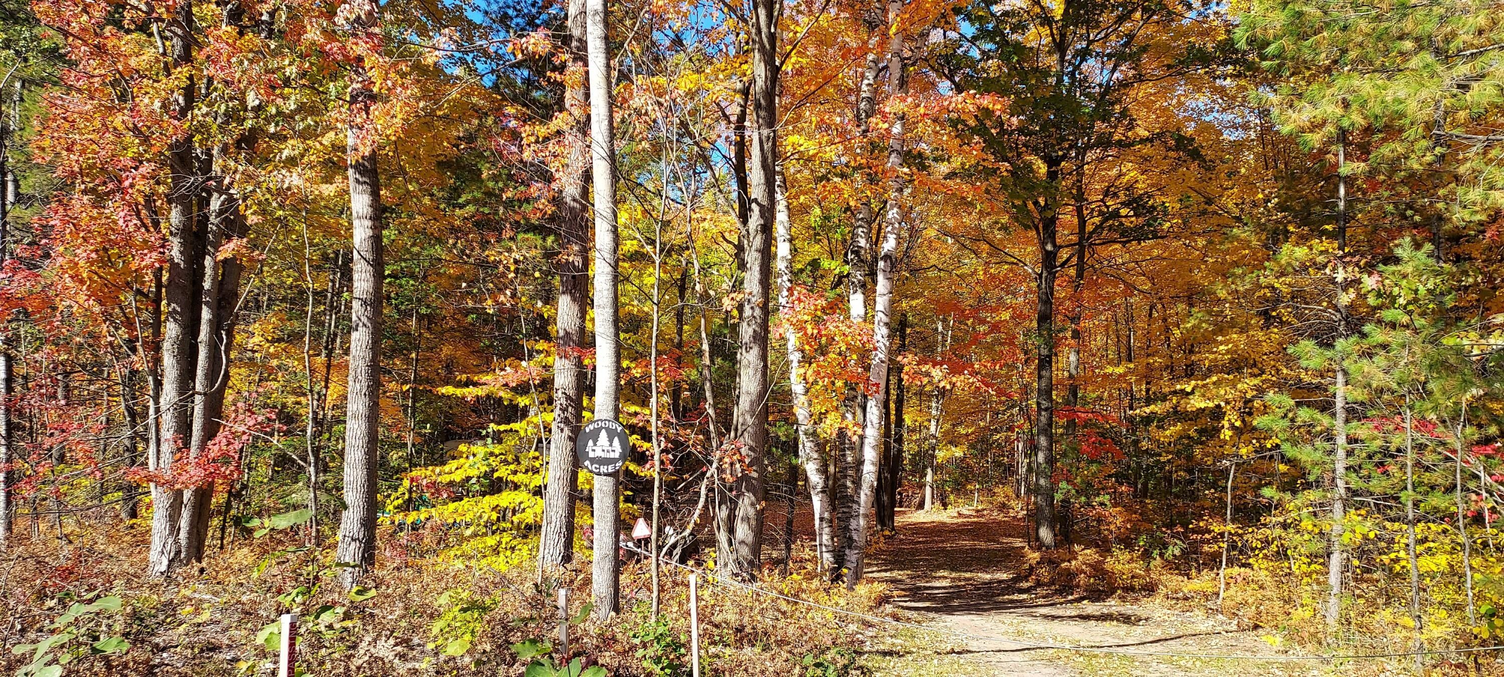 Mio, Oscoda County, MI Undeveloped Land, Homesites for sale Property ID