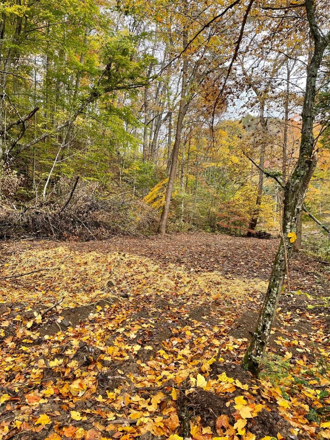 Smithville, Ritchie County, WV Recreational Property, Undeveloped Land, Hunting Property for