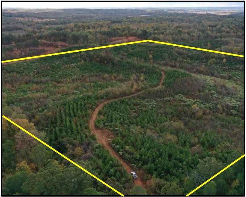 Arkadelphia, Clark County, AR Timberland Property, Undeveloped Land