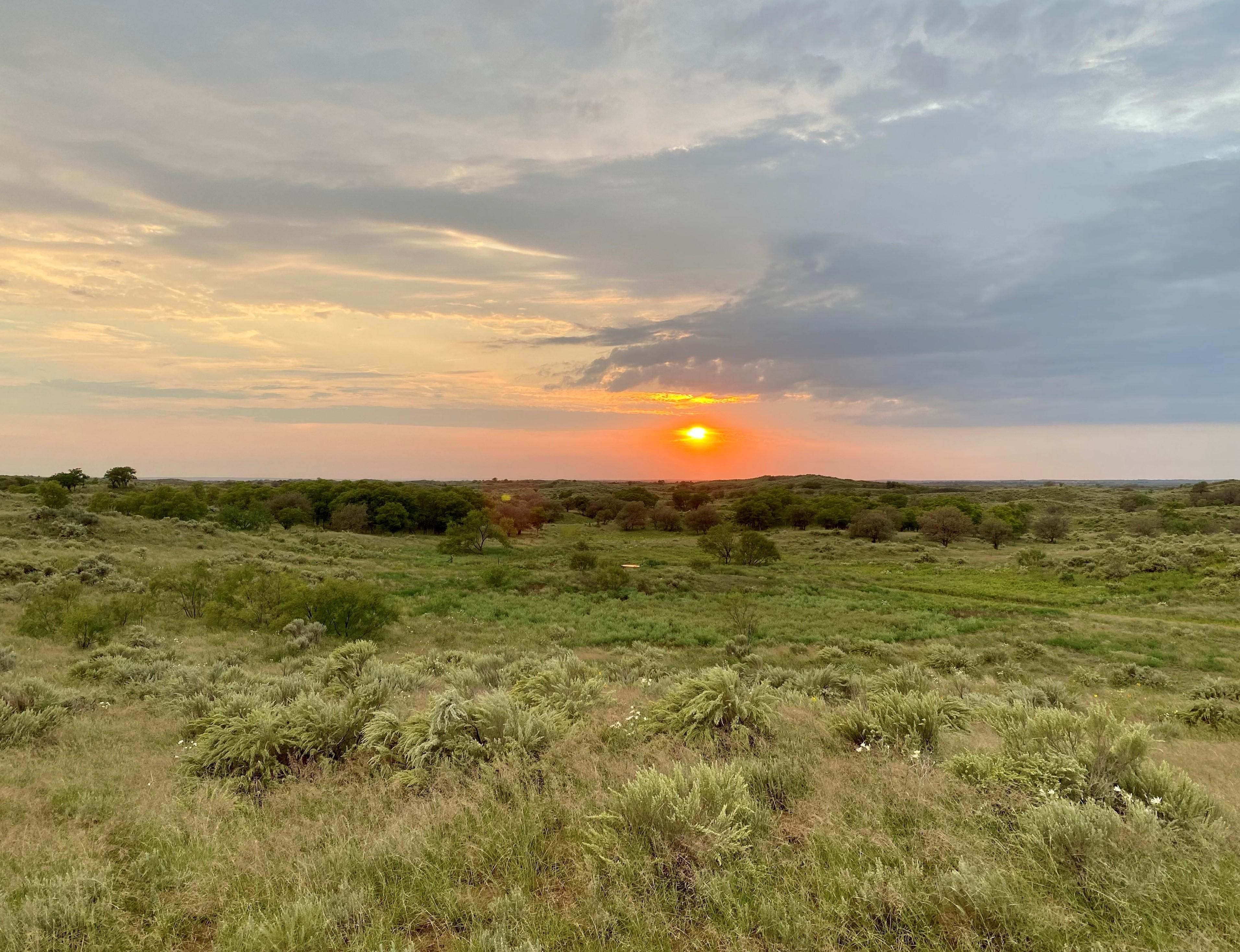 1241 County Road 24, Estelline, TX 79233 LandWatch