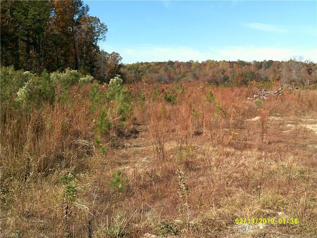 Asheboro, Randolph County, NC Undeveloped Land for sale Property ID