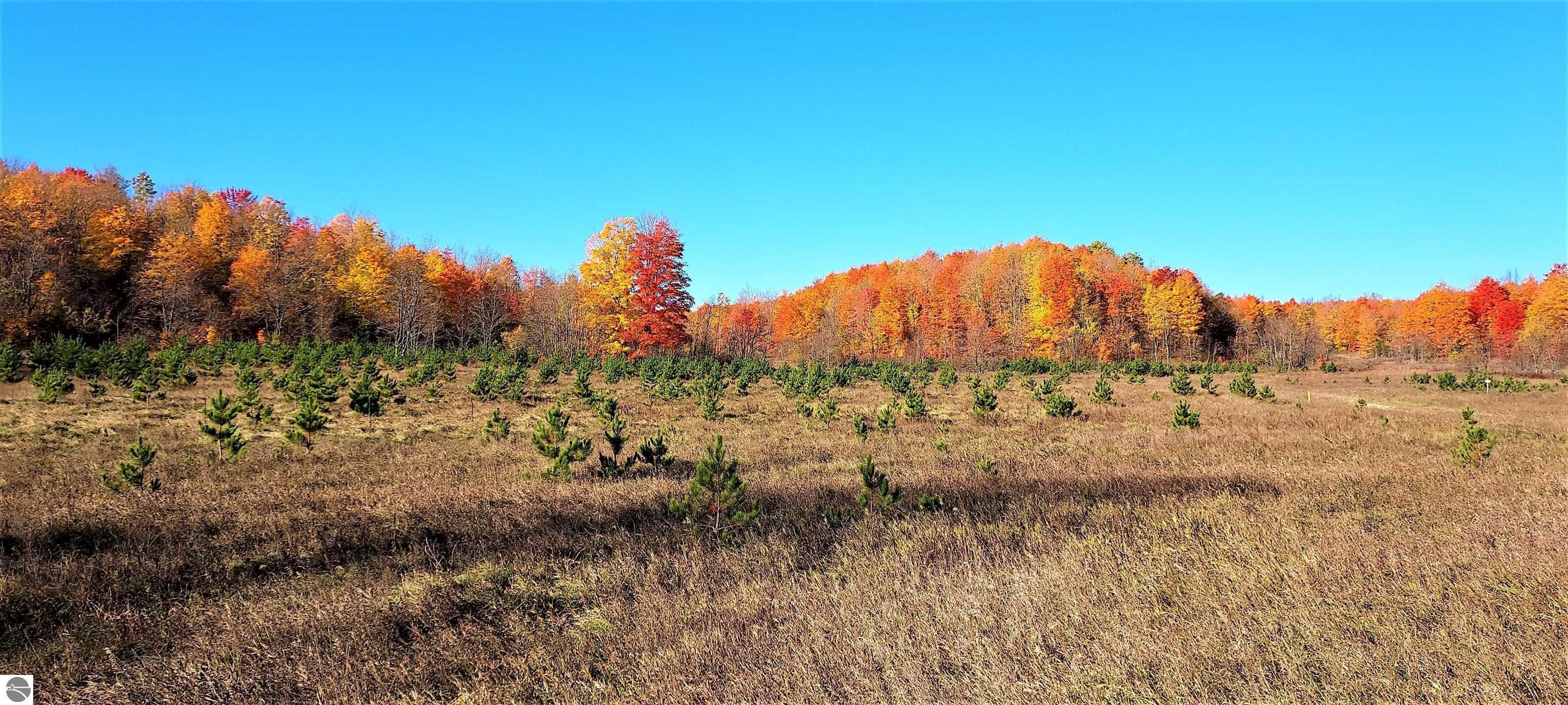 Frederic, Crawford County, MI Undeveloped Land, Lakefront Property