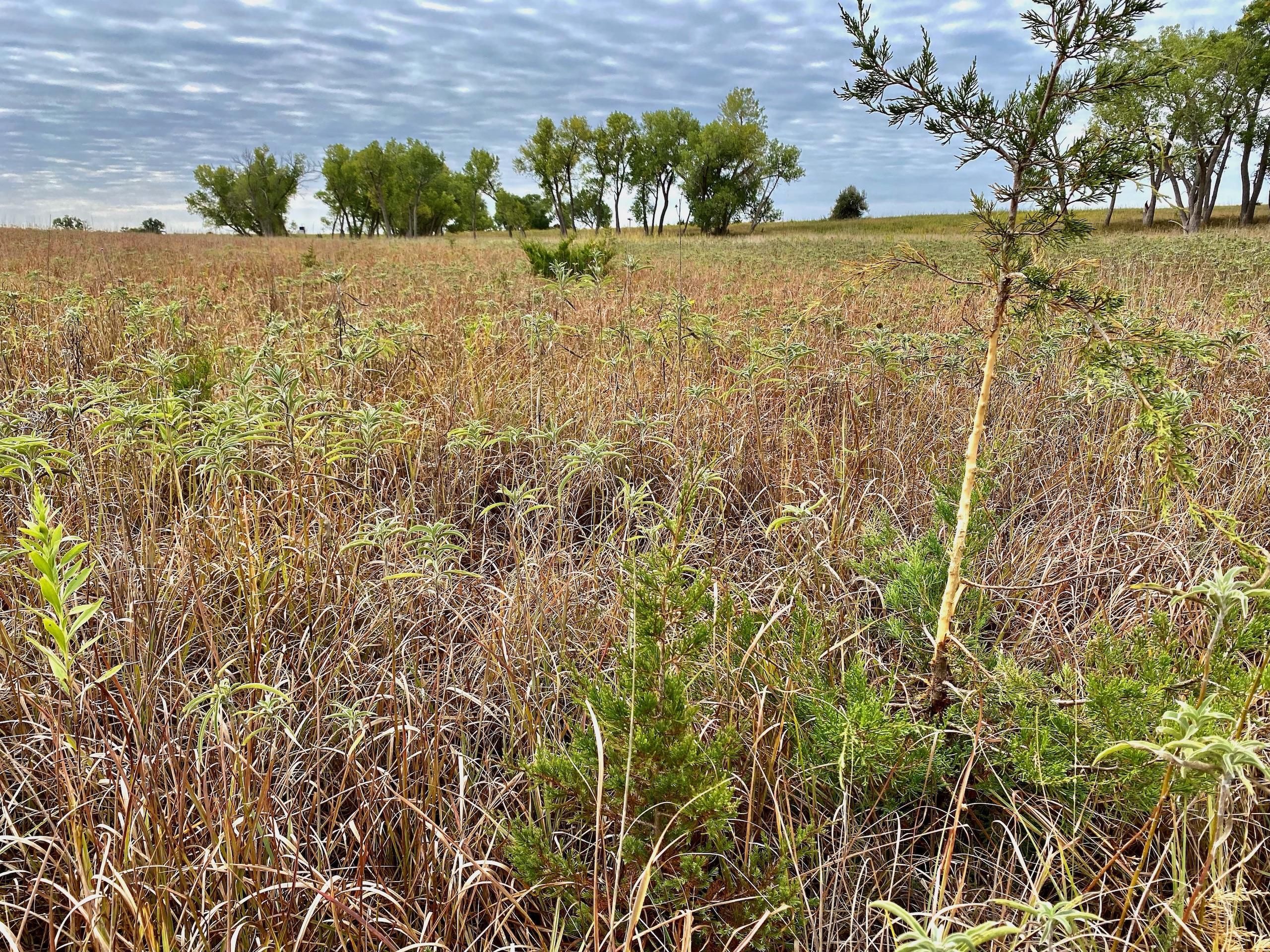 Dorrance, Russell County, KS Farms and Ranches, Recreational Property