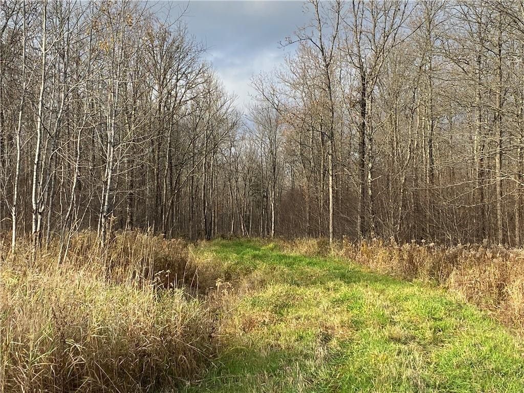 Catawba, Price County, WI Undeveloped Land for sale Property ID