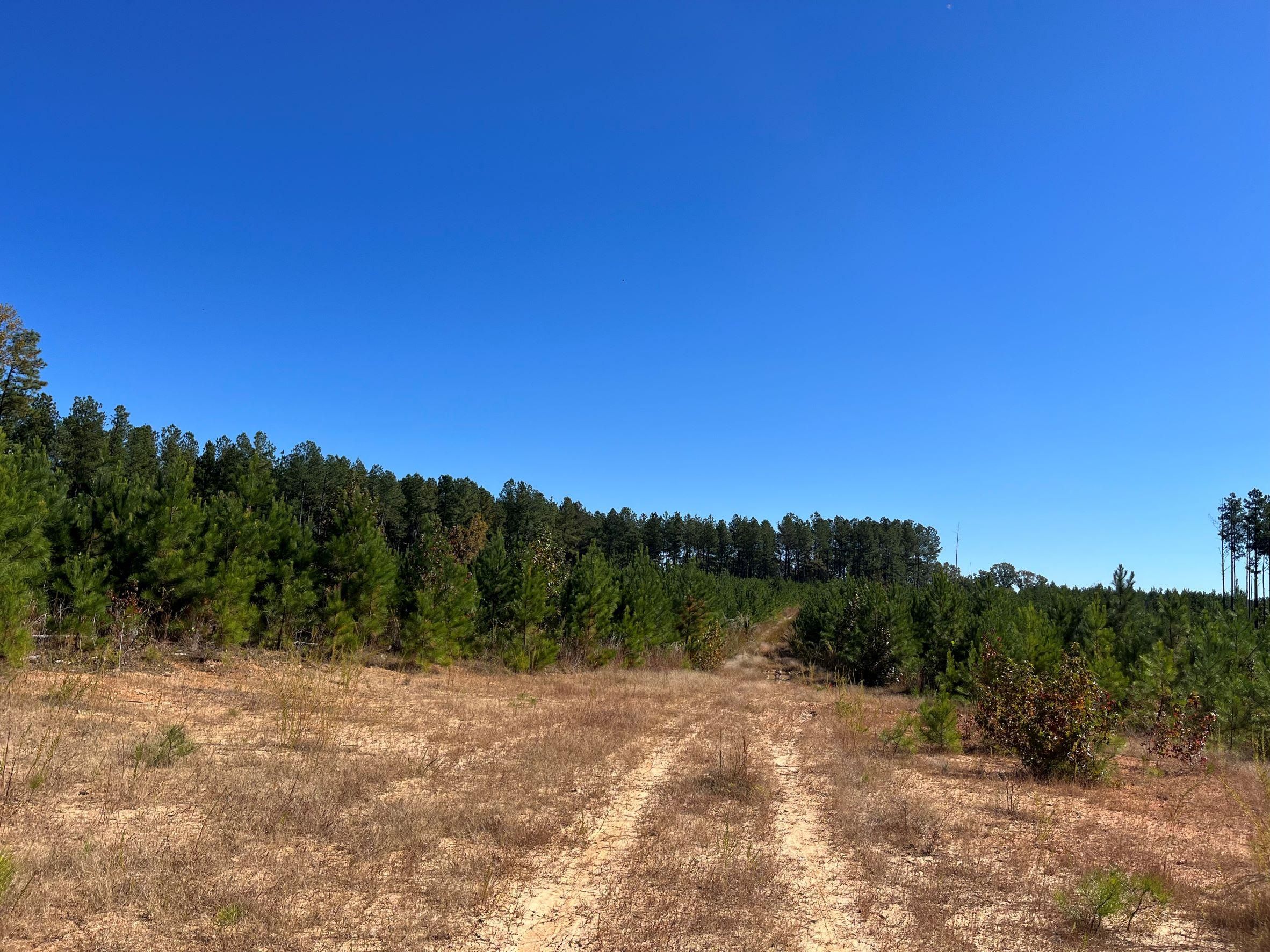 95.74 acres in Green Bay, VA, 23952 MLS B399 Cherry Tree Sandy Creek2 LandWatch
