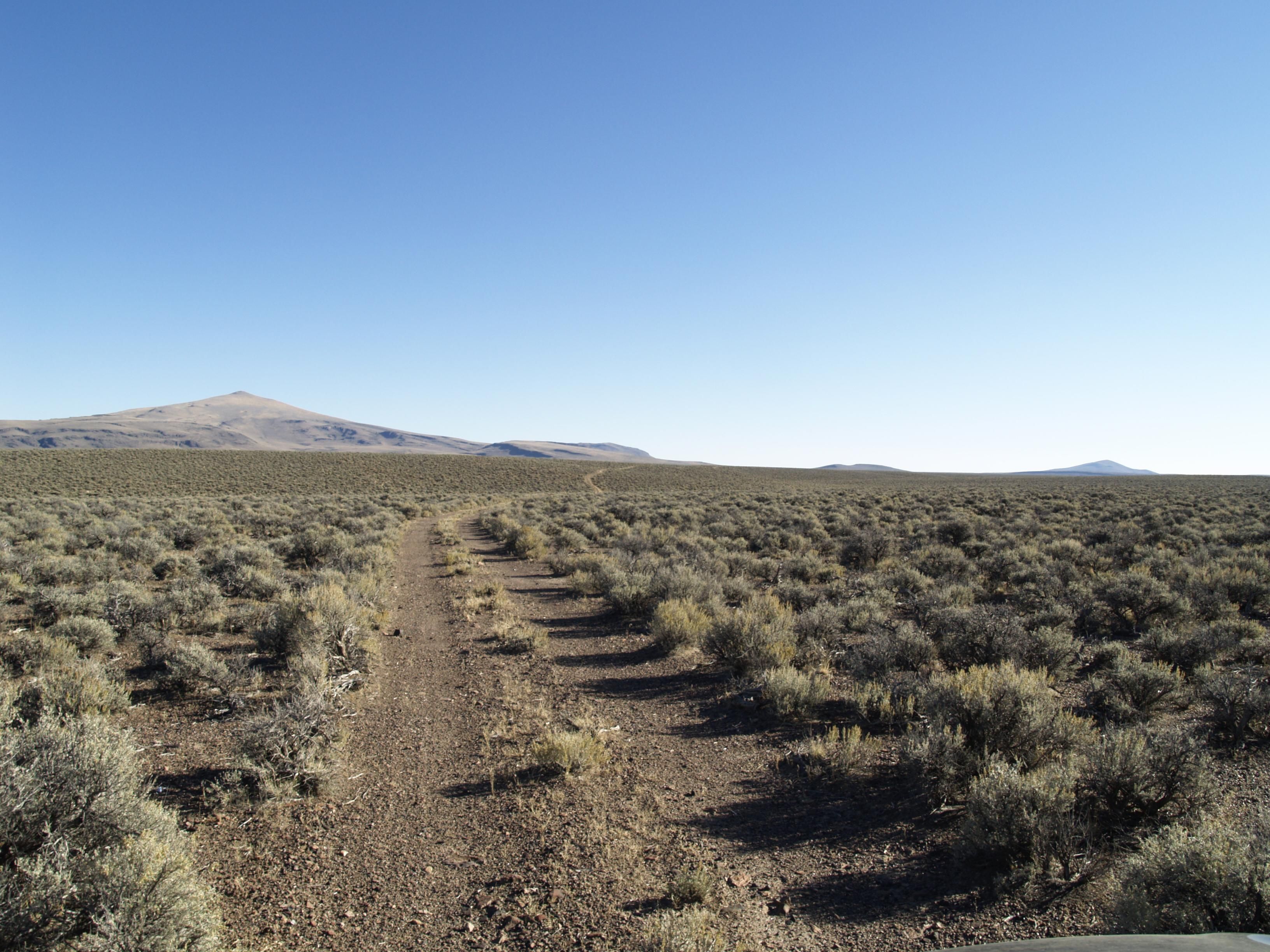 Adel, Lake County, OR Undeveloped Land for sale Property ID 415148272