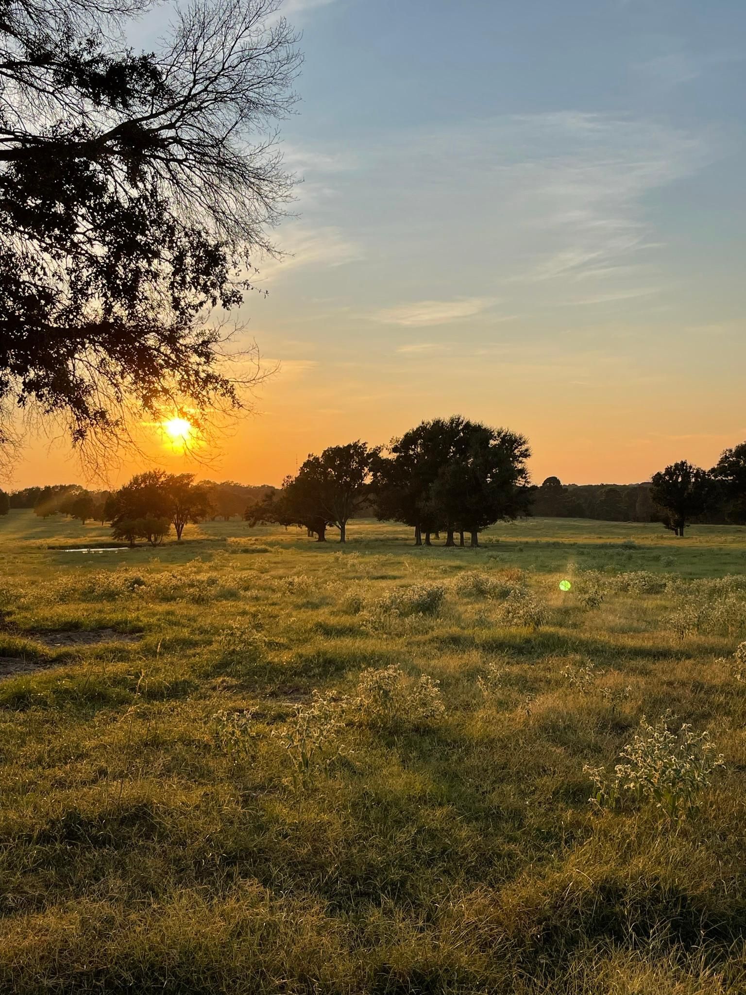 Athens, Henderson County, TX Farms and Ranches for sale Property ID