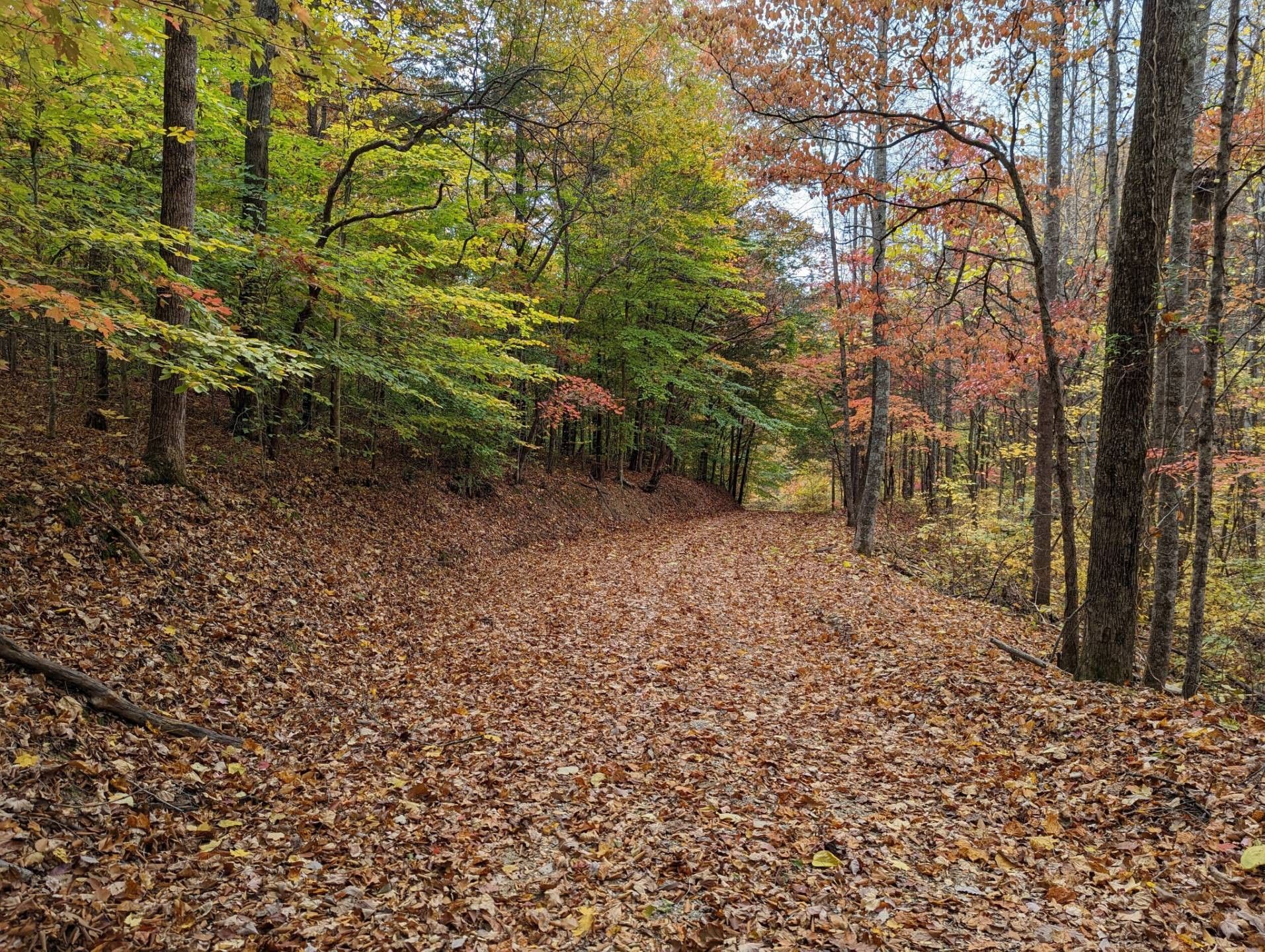 Burkesville, Cumberland County, KY Undeveloped Land for sale Property