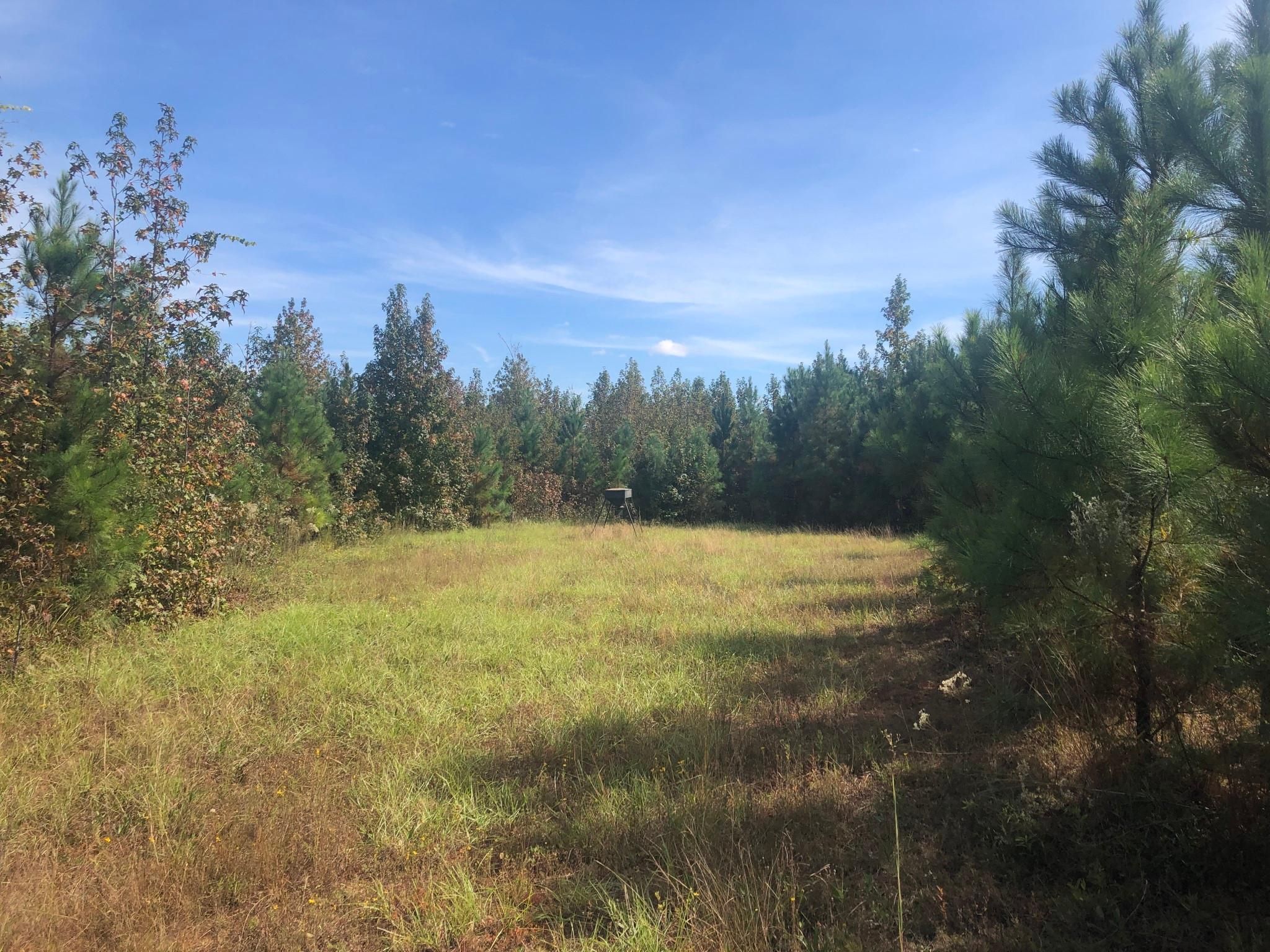 Sandersville, Washington County, GA Recreational Property, Timberland