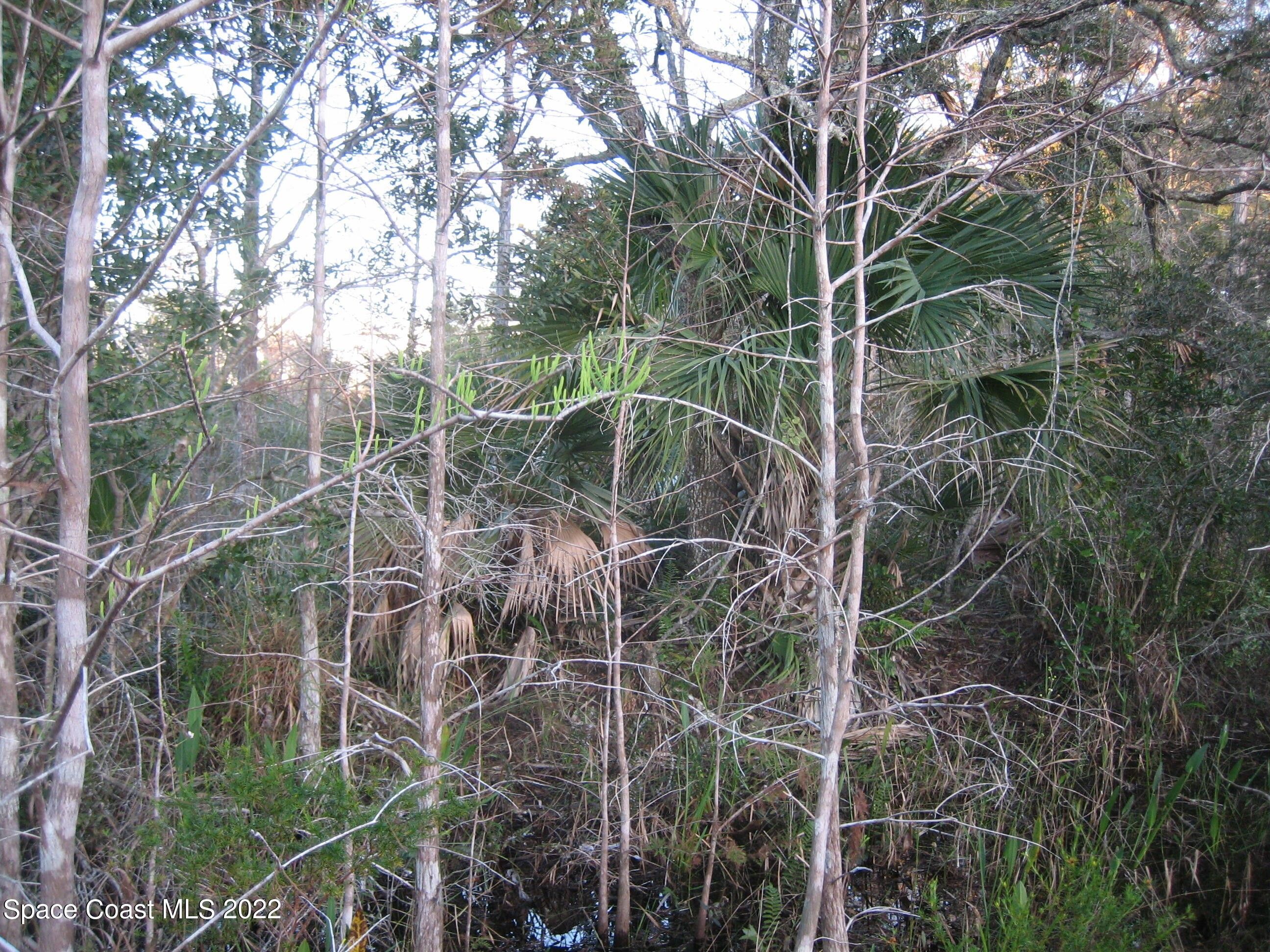 GrantValkaria, Brevard County, FL Undeveloped Land, Lakefront Property