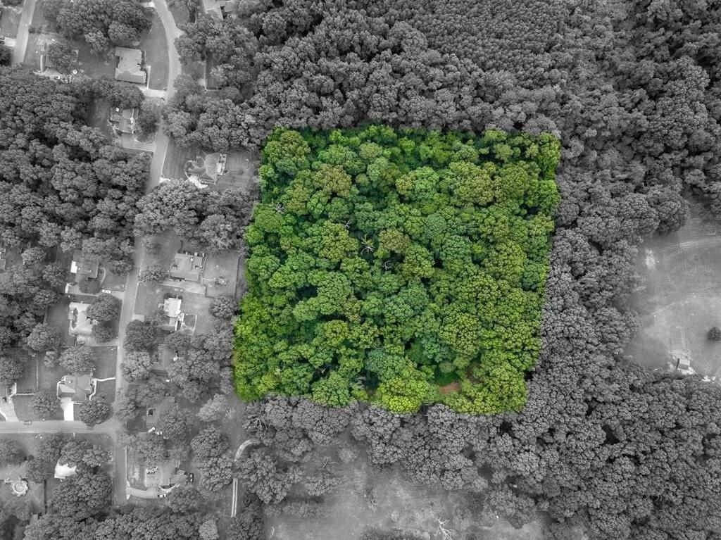 Tuscumbia, Colbert County, AL Undeveloped Land, Homesites for sale