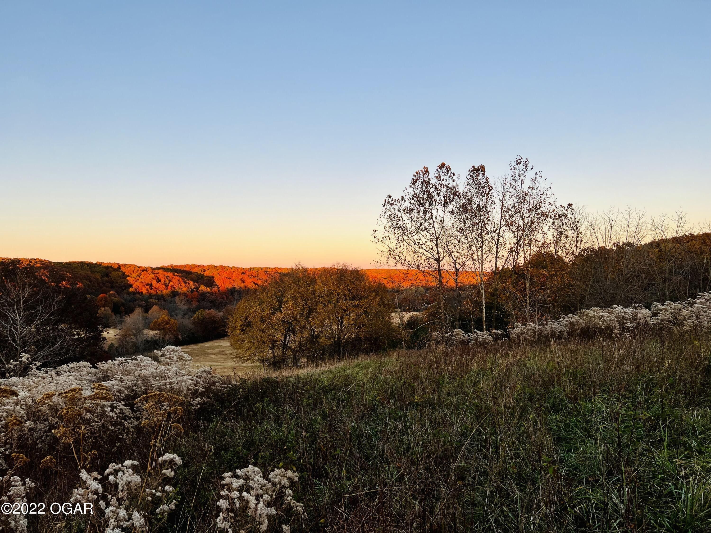 Goodman, McDonald County, MO Undeveloped Land for sale Property ID