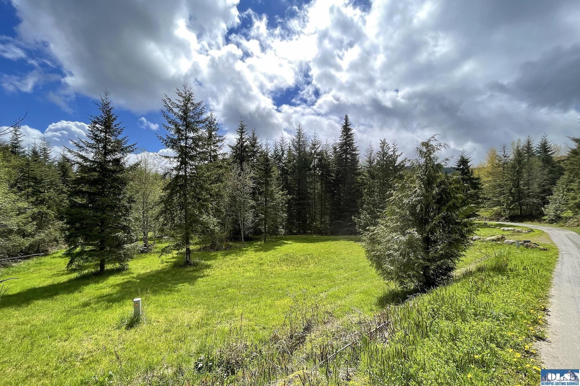 Sequim, Clallam County, WA Undeveloped Land, Lakefront Property