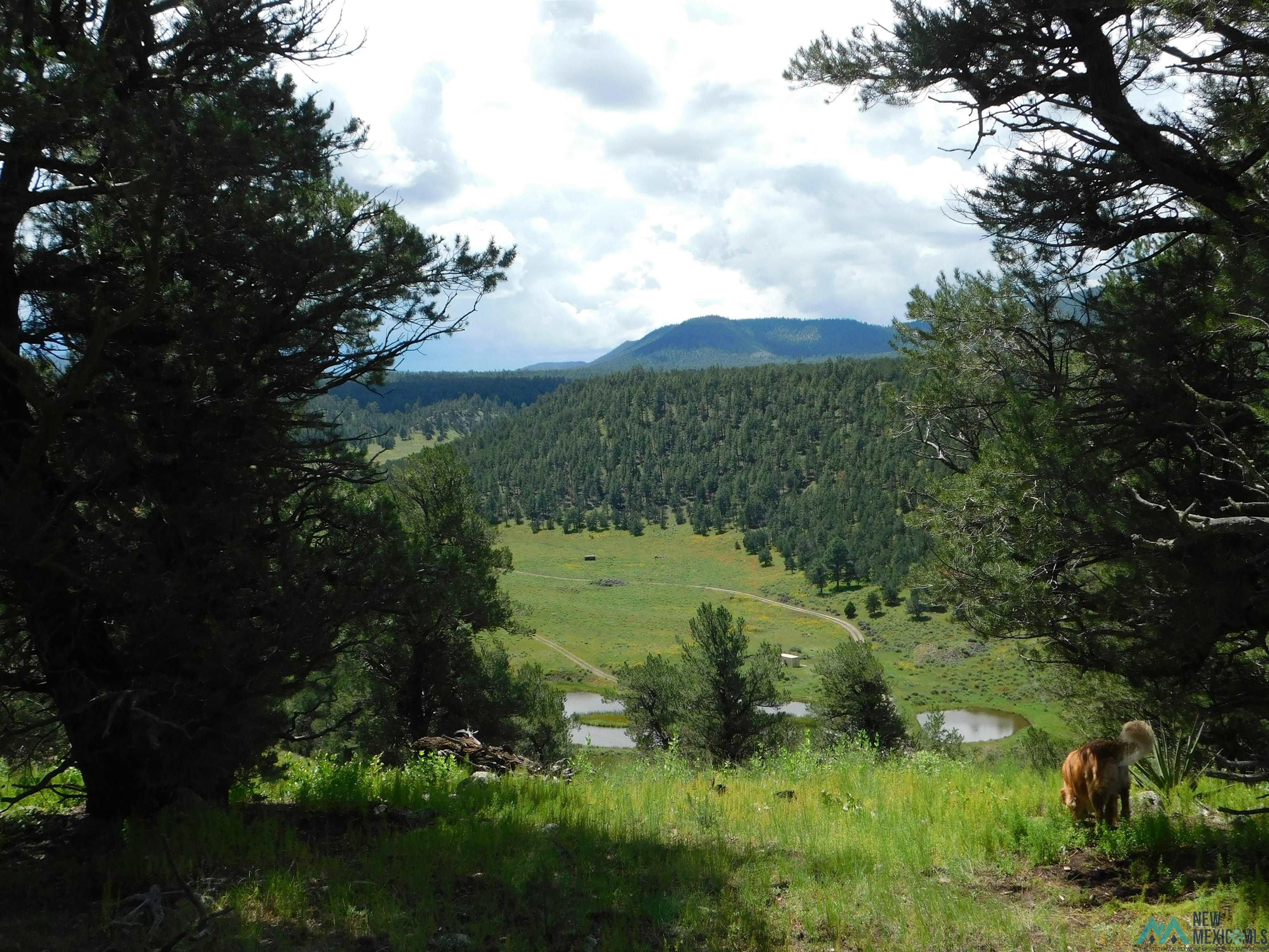 Quemado, Catron County, NM Homesites for sale Property ID 415154187