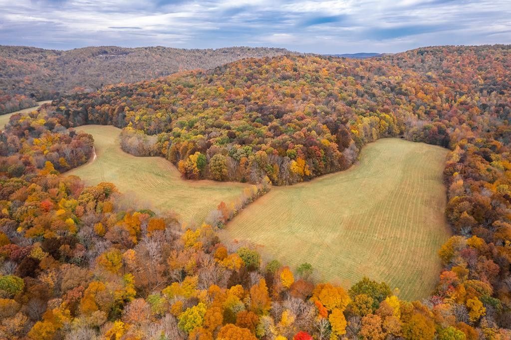 Monterey, Putnam County, TN Farms and Ranches for sale Property ID