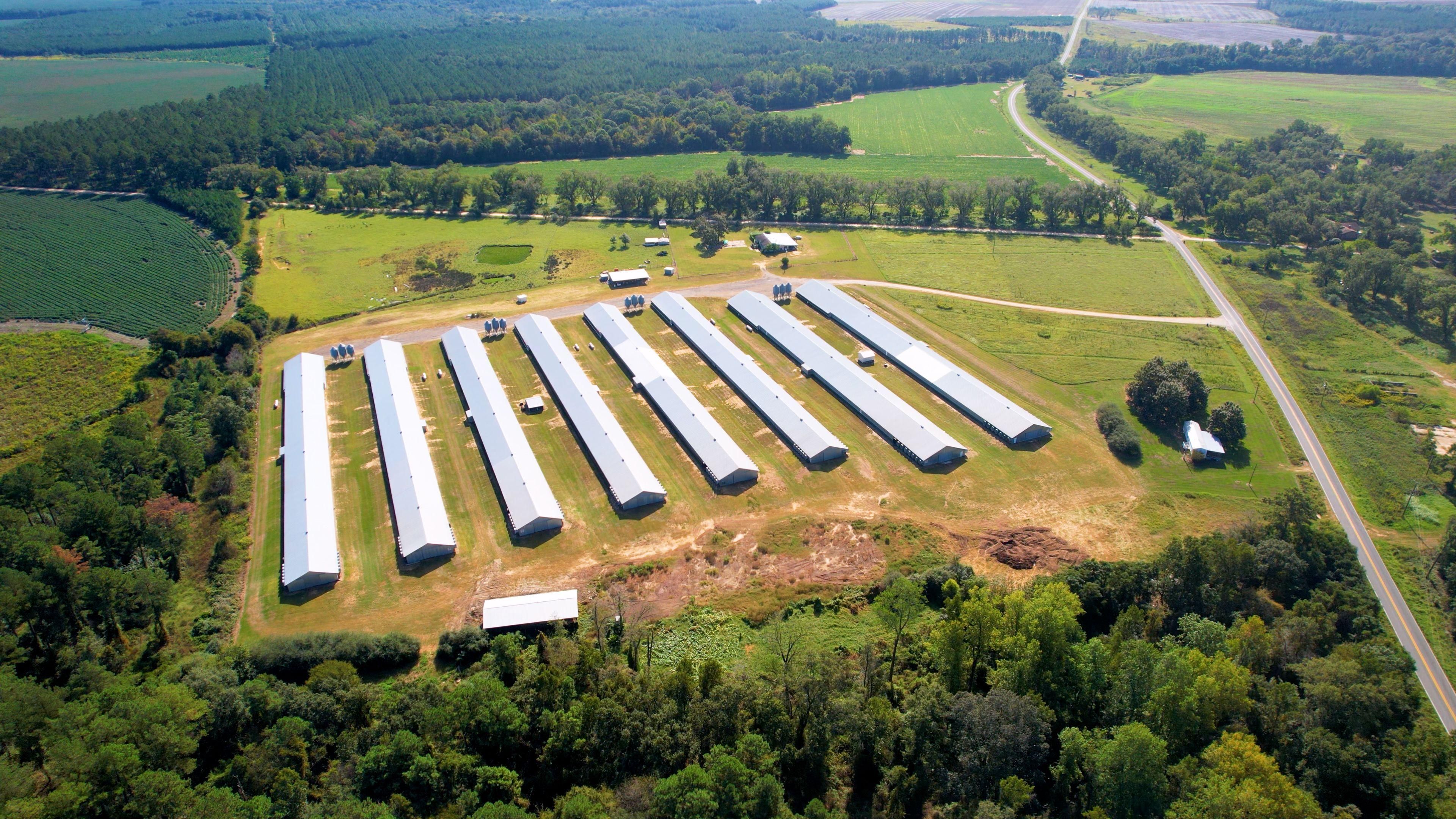 34 acres in Vienna, GA, 31092 LandWatch