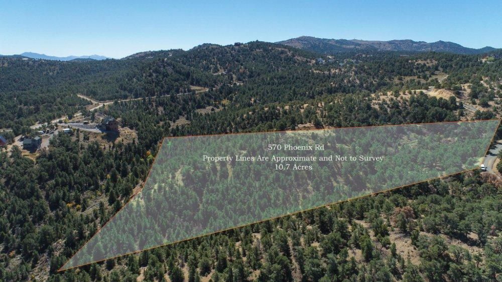 570 Phoenix Rd, Reno, NV 89521 MLS 220014985 LandWatch