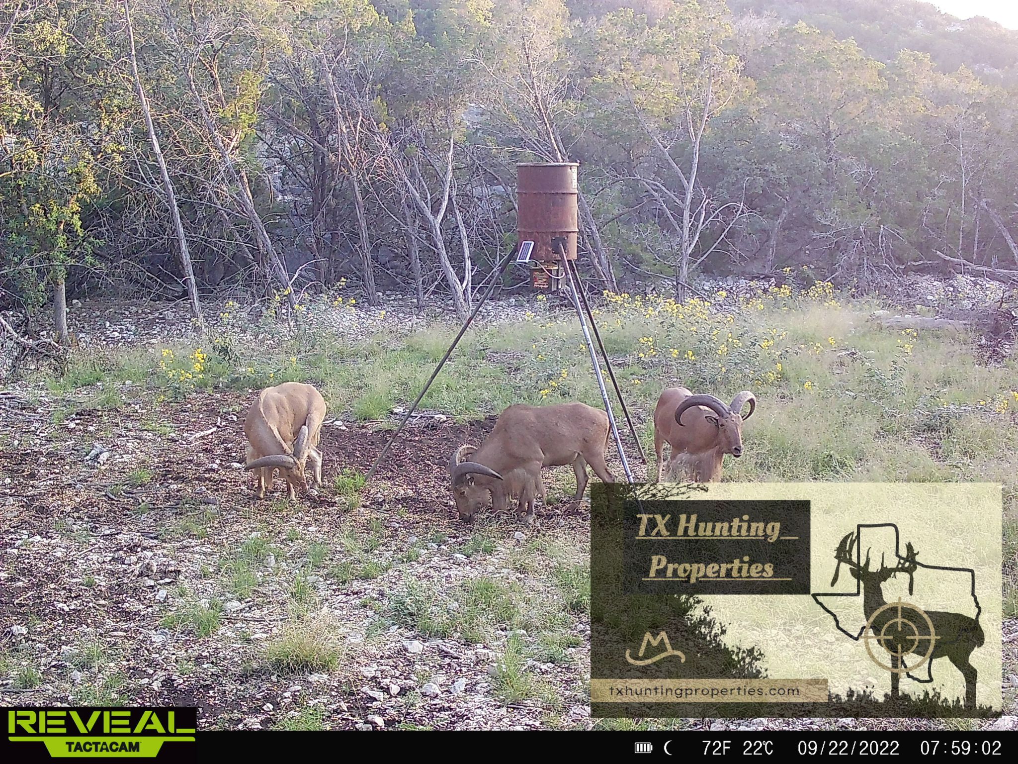 Rocksprings, Edwards County, TX Farms and Ranches, Recreational Property, Hunting Property for