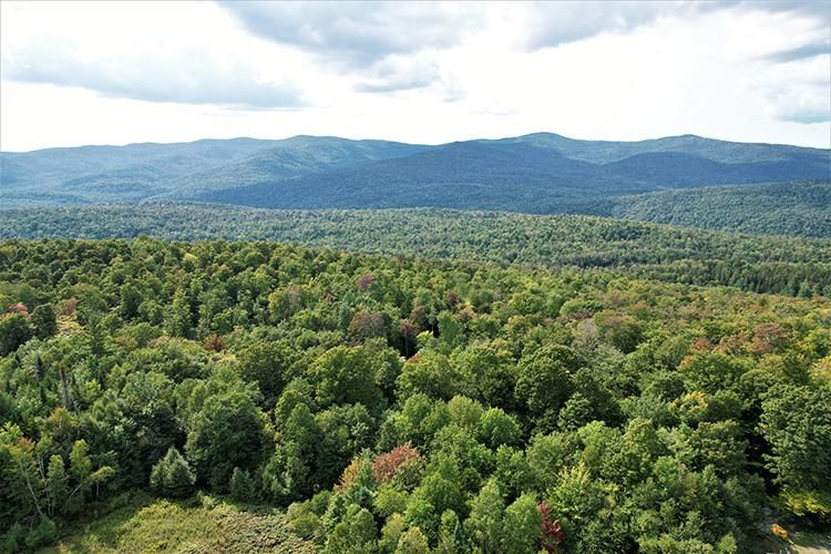 Roxbury, Washington County, VT Recreational Property, Undeveloped Land
