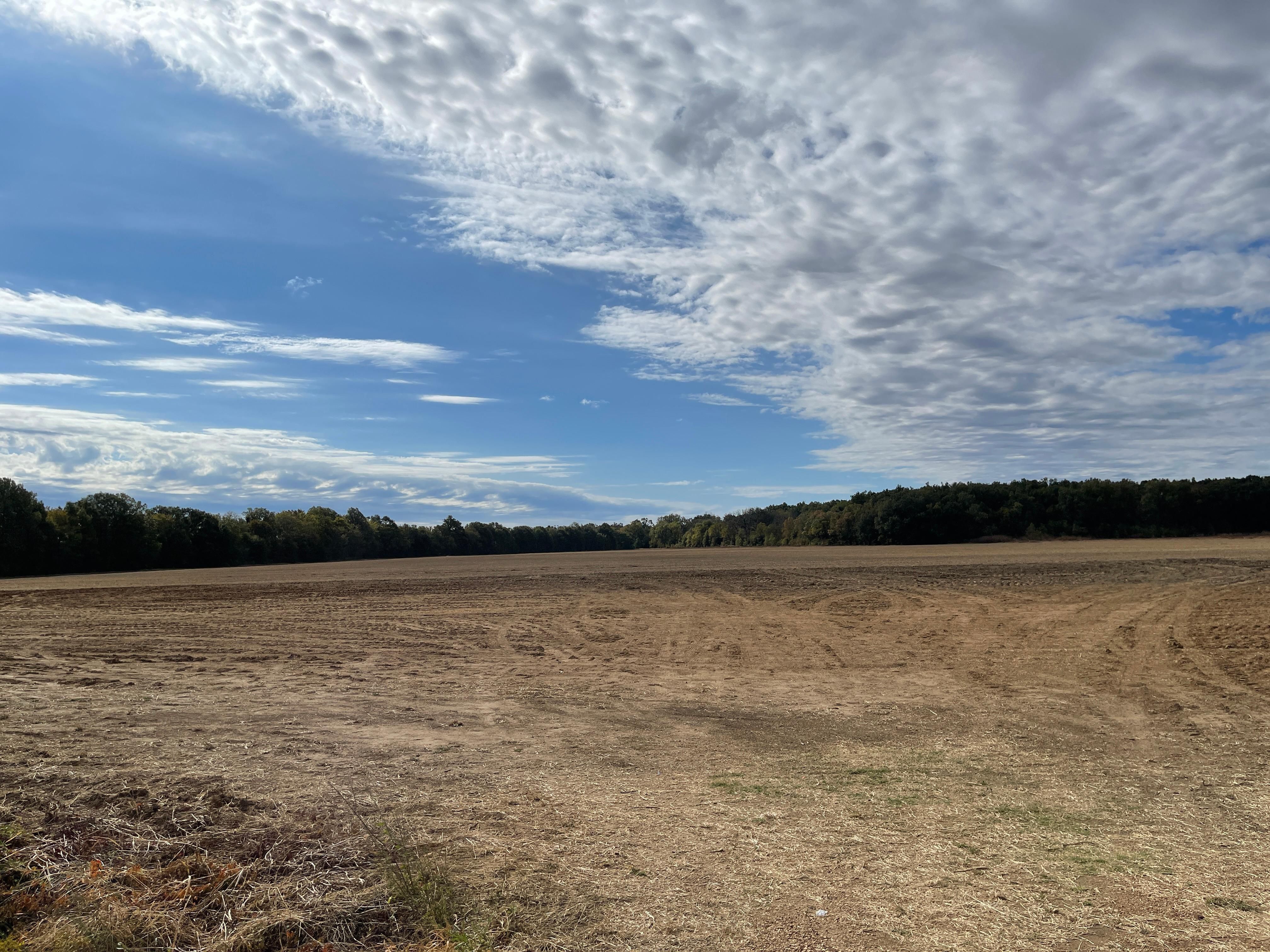 Crowville, Franklin Parish, LA Farms and Ranches, Undeveloped Land