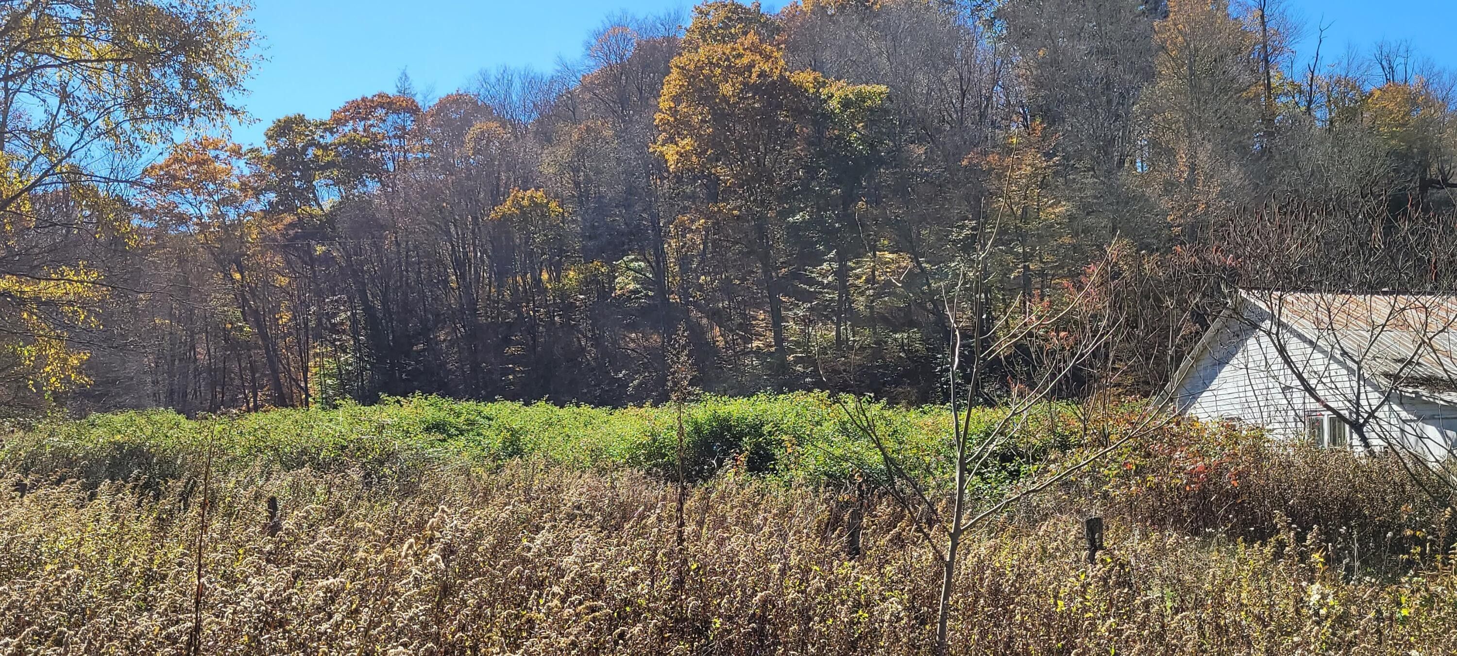 Valley Head, Randolph County, WV Farms and Ranches for sale Property ID 415156755 LandWatch