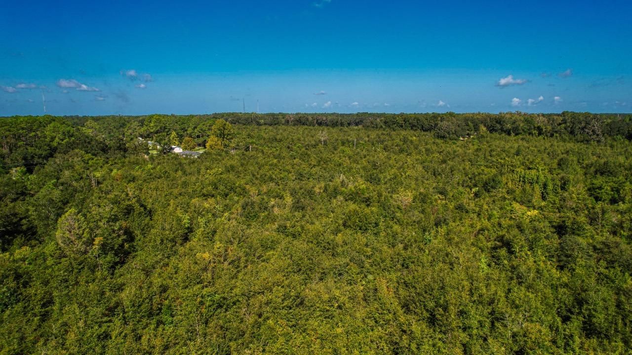 80 acres in Bronson, FL, 32621 MLS OM647778 LandWatch