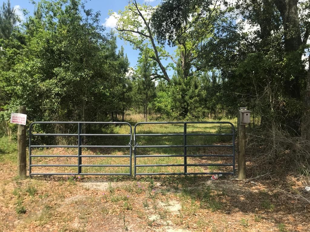 Newton, Baker County, GA Farms and Ranches for sale Property ID