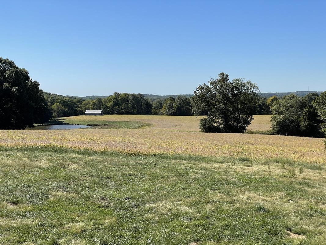 Vienna, Johnson County, IL Recreational Property, Hunting Property, House for sale Property ID