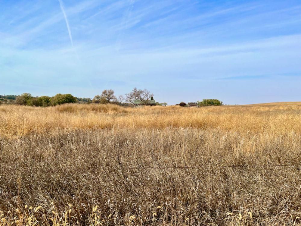Allen, Dakota County, NE Farms and Ranches for auction Property ID