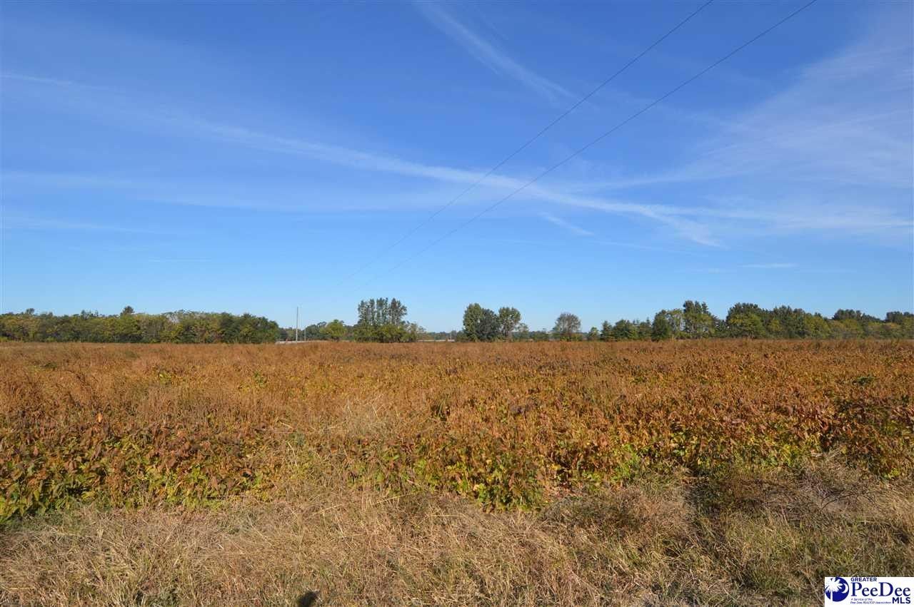 Hartsville, Darlington County, SC Undeveloped Land, Homesites for sale