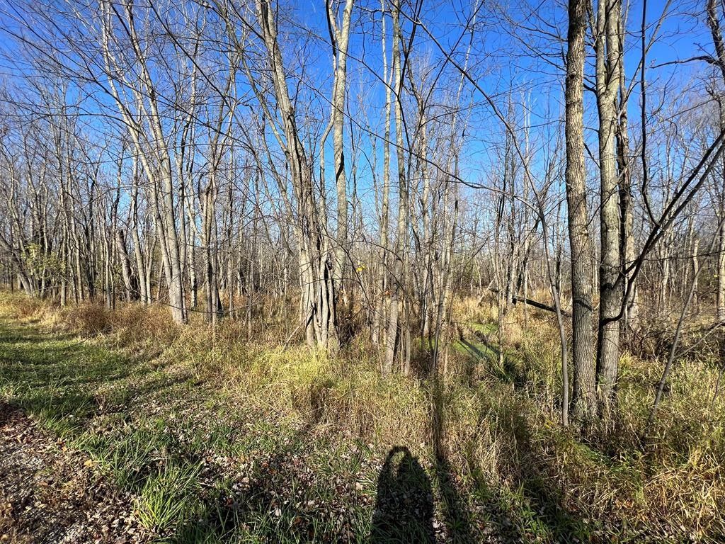 Lot 1 County Rd X, Brussels, WI 54204 MLS 138877 LandWatch