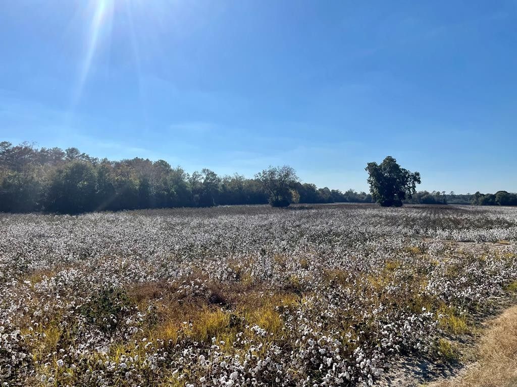 Cordele, Crisp County, GA Farms and Ranches for sale Property ID