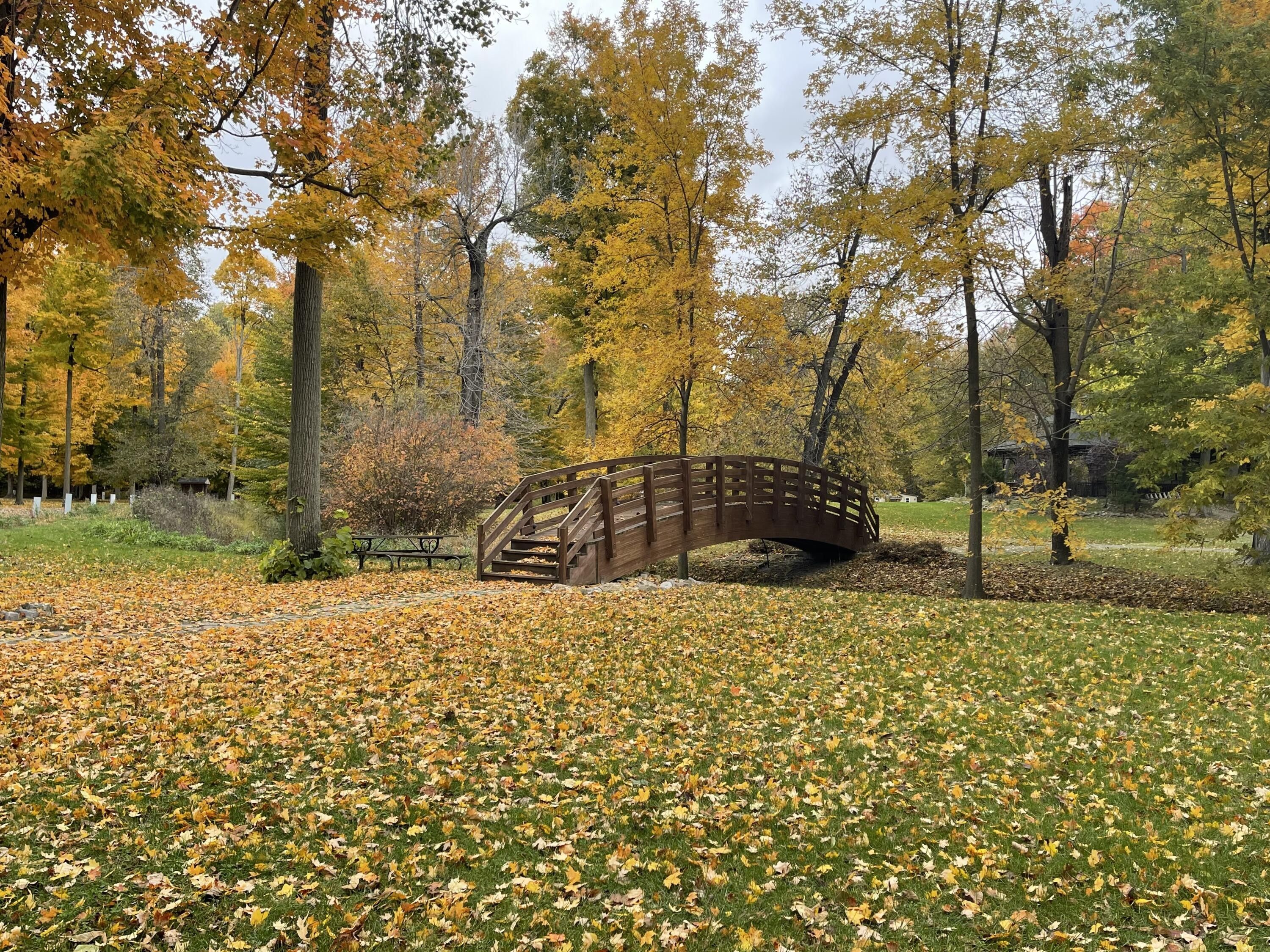 Brooklyn, Jackson County, MI Farms and Ranches for sale Property ID