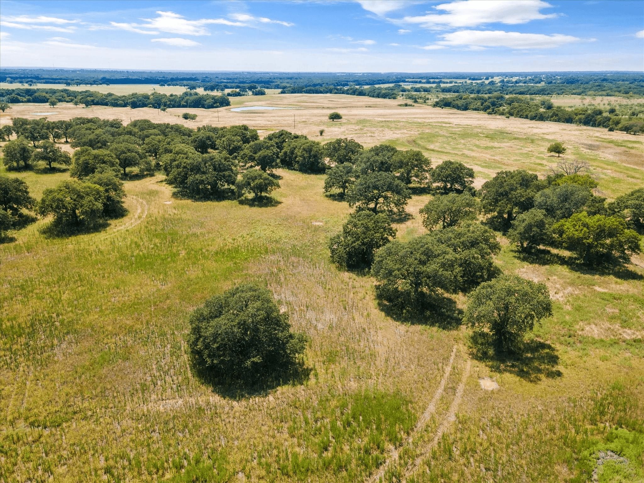 Sunset, Montague County, TX Farms and Ranches, Undeveloped Land for