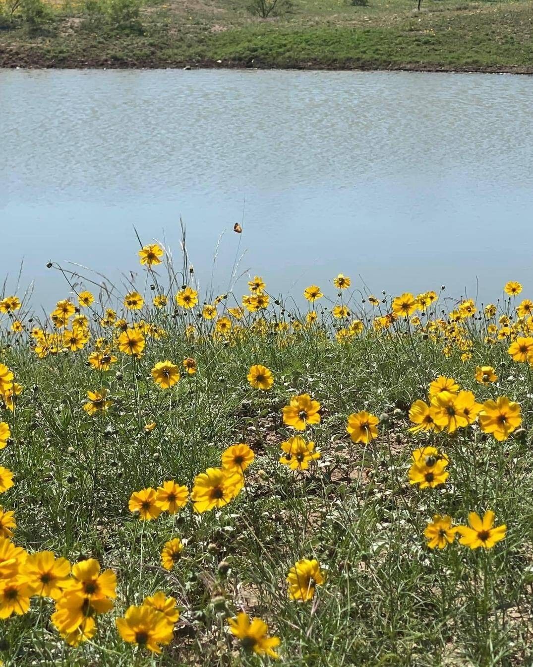 Millersview, Concho County, TX Undeveloped Land for sale Property ID 415164639 LandWatch