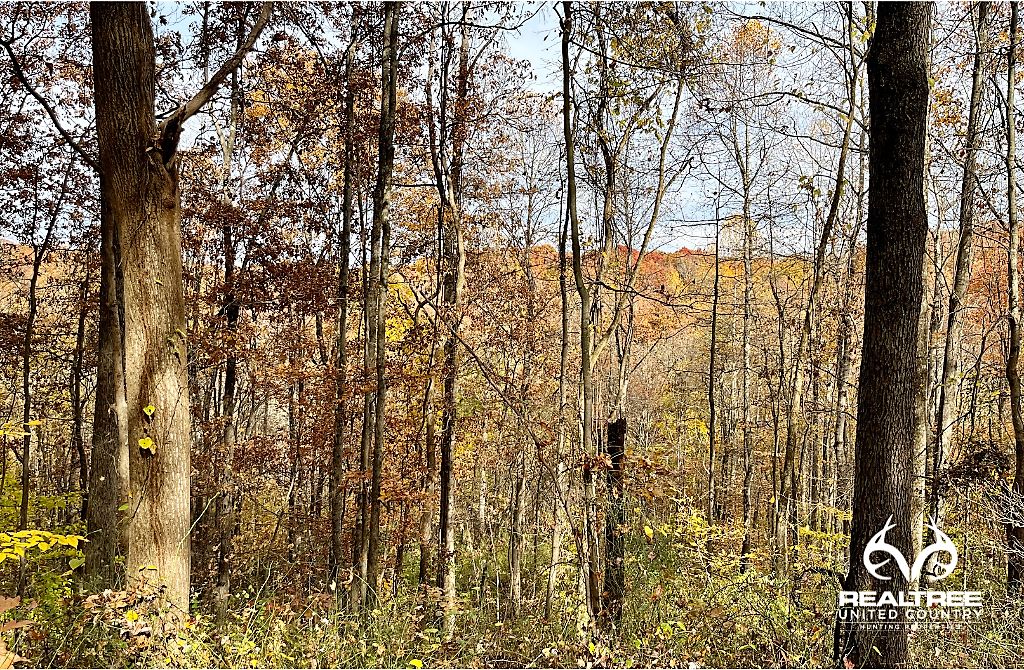 Logan, Hocking County, OH Recreational Property, Hunting Property for