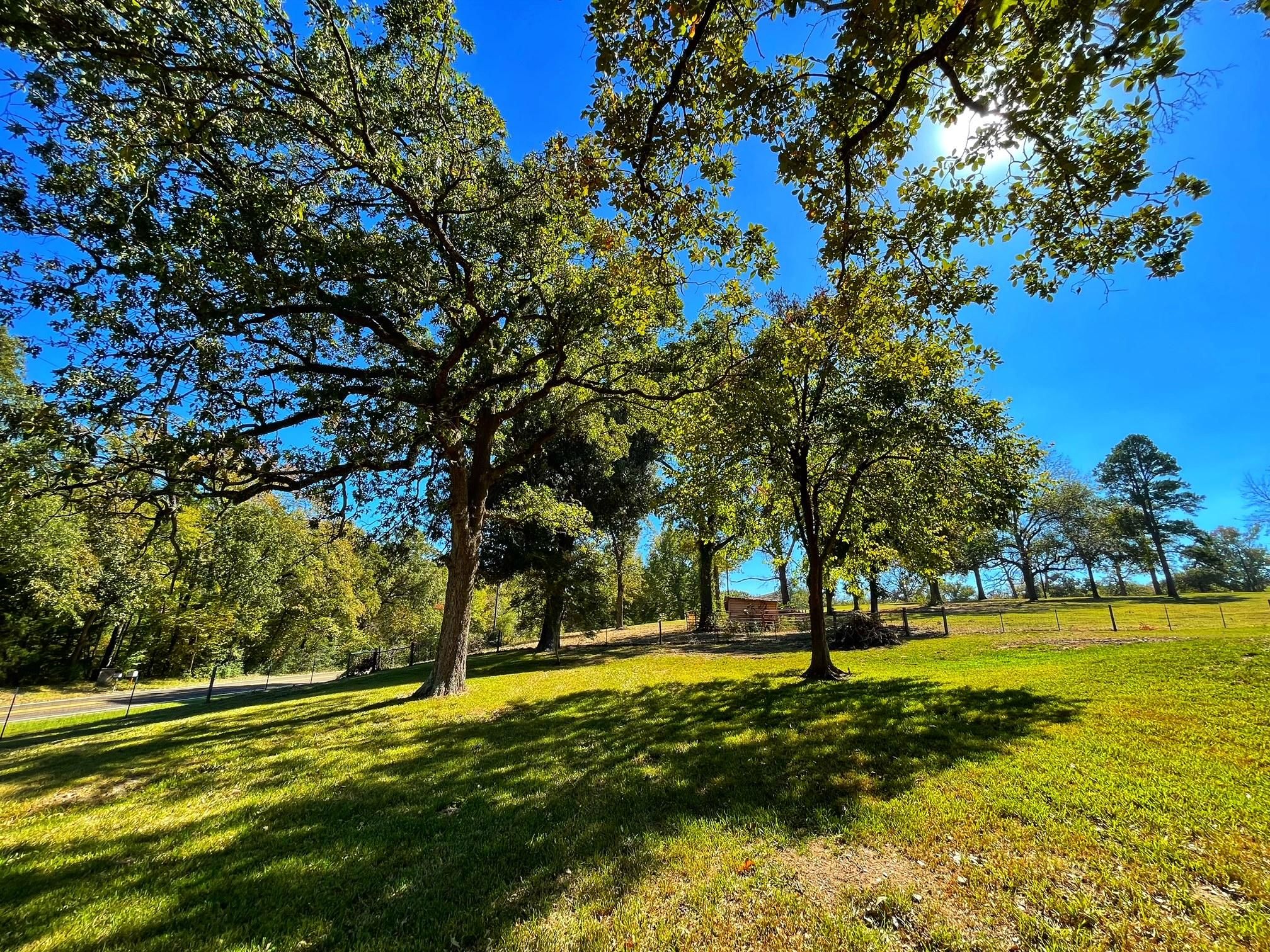 9484 FM 1511, Oakwood, TX 75855 LandWatch