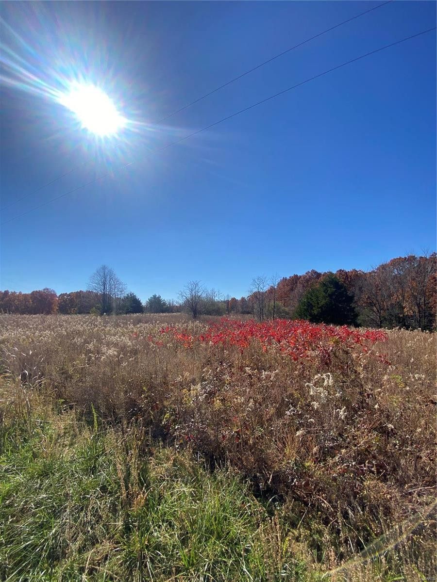 Festus, Jefferson County, MO Undeveloped Land for sale Property ID
