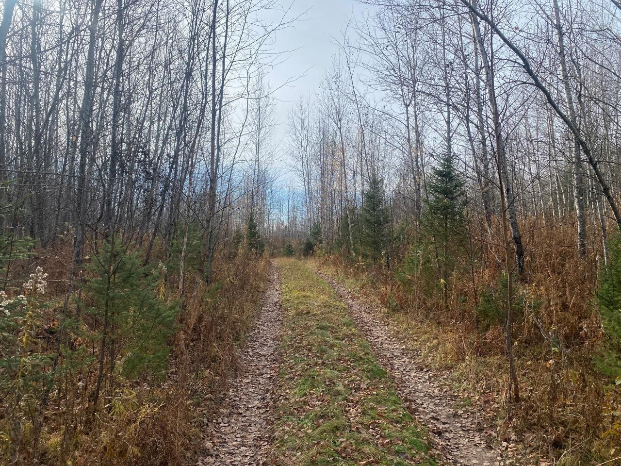 Butternut, Ashland County, WI Undeveloped Land for sale Property ID