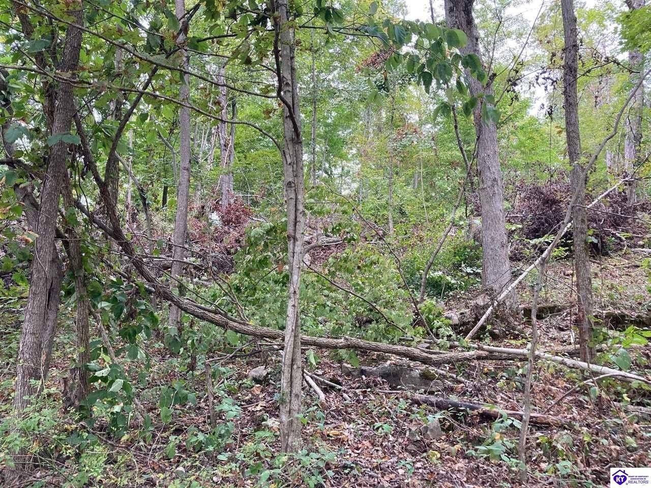 Battletown, Meade County, KY Farms and Ranches, Lakefront Property