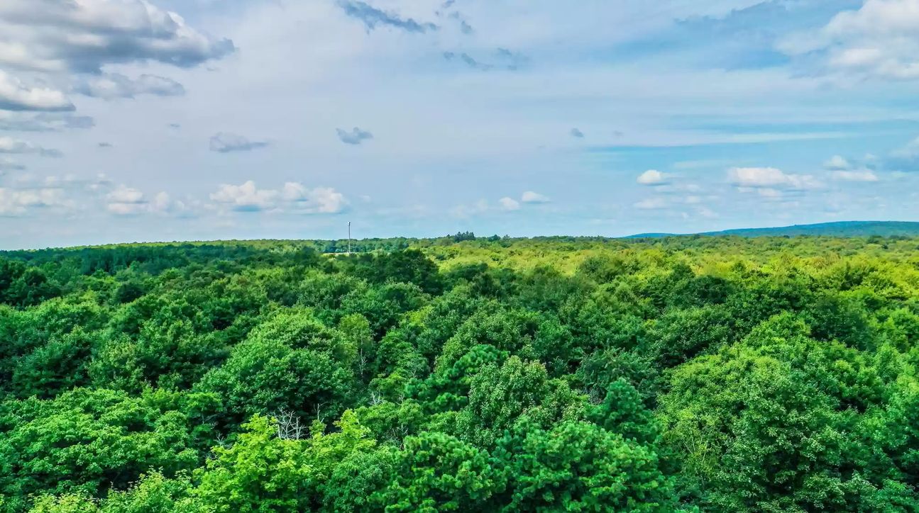 Albrightsville, Carbon County, PA Recreational Property, Undeveloped