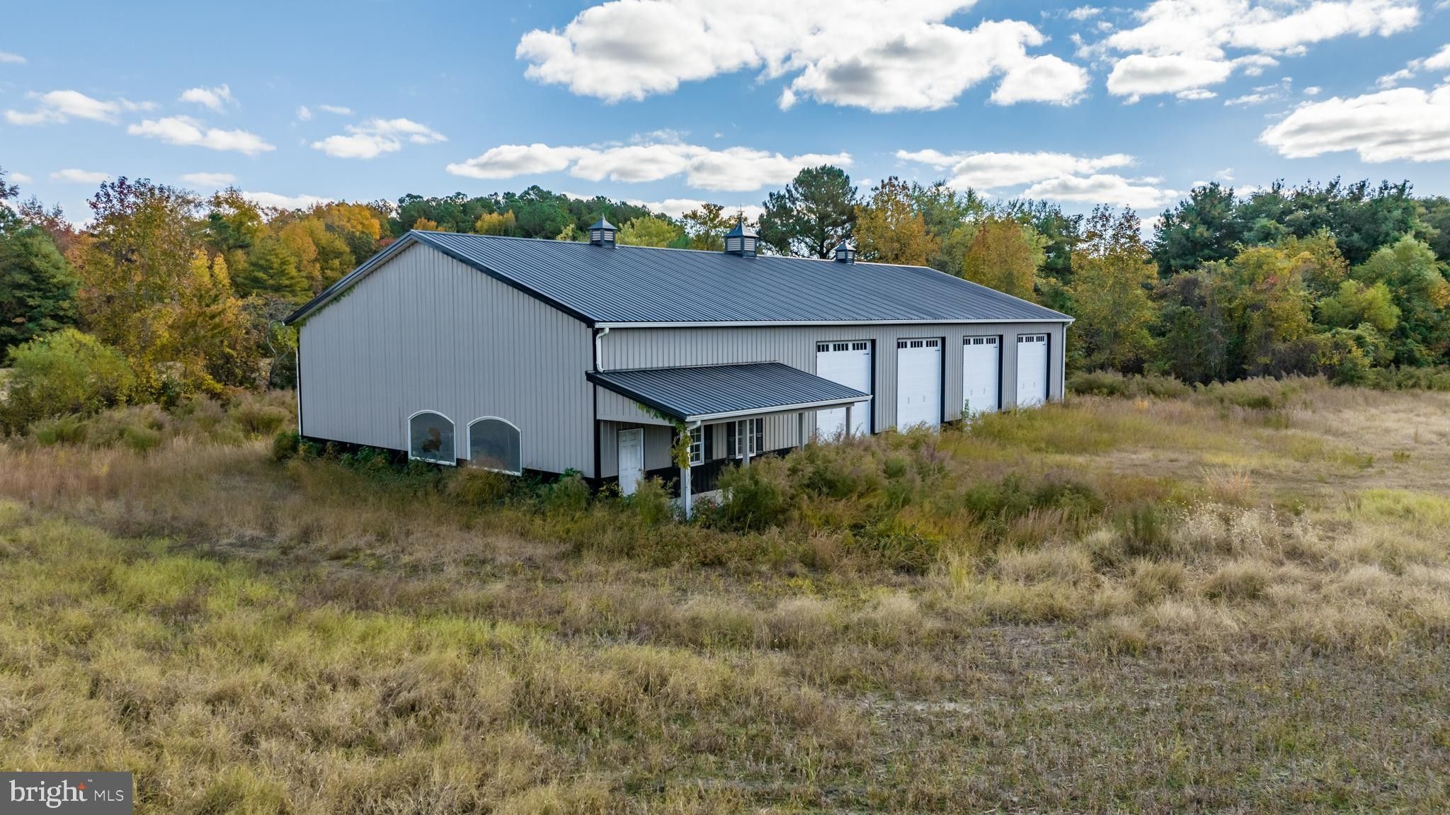 Mardela Springs, County, MD Undeveloped Land, Lakefront