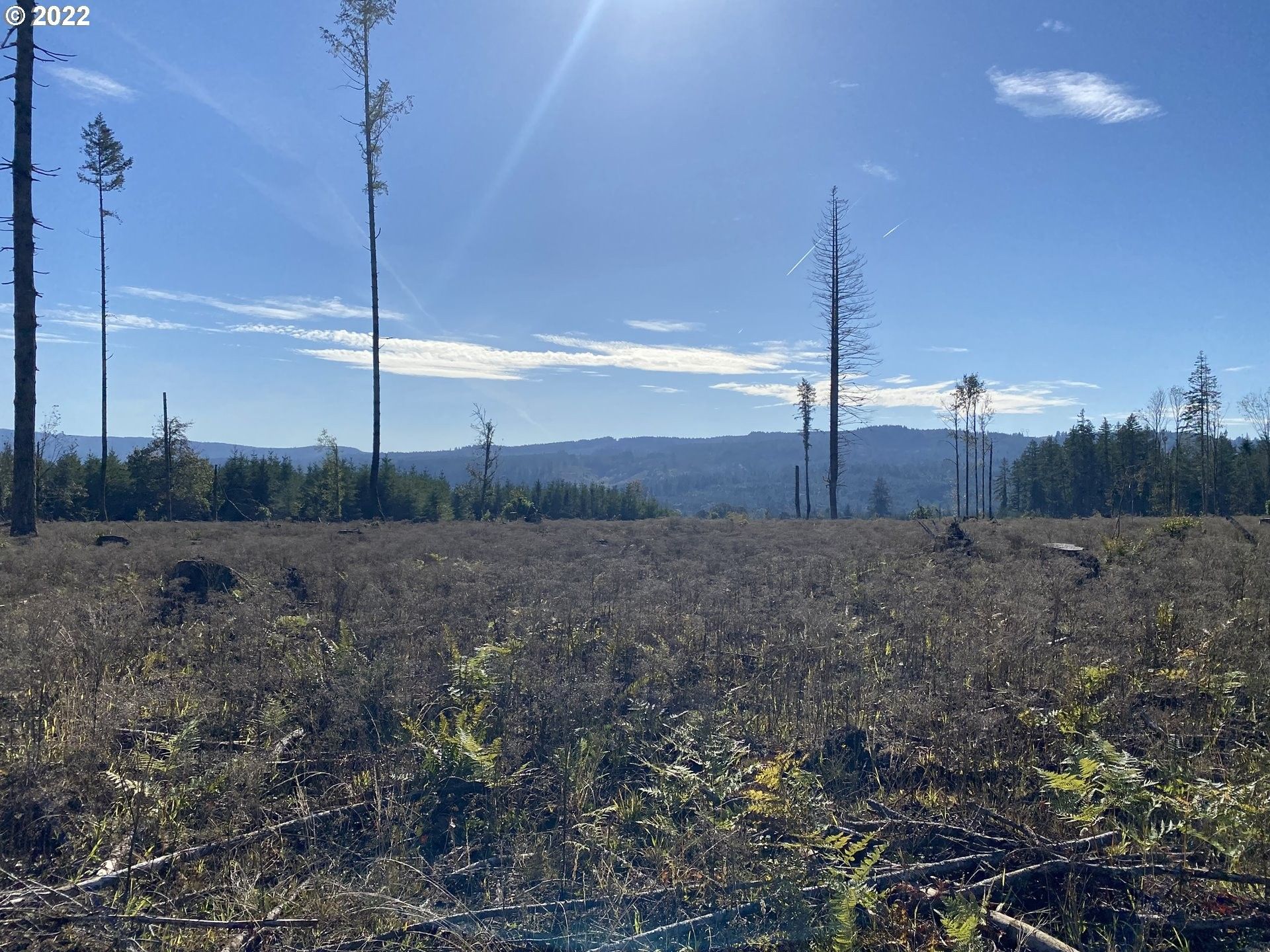 Scio, Linn County, OR Farms and Ranches for sale Property ID 415169084 LandWatch